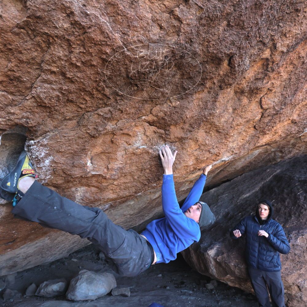 

Filename: SRM_20221217_1126590.jpg
Aperture: f/5.6
Shutter Speed: 1/400
Body: Canon EOS R6
Lens: Canon EF 16-35mm f/2.8 L