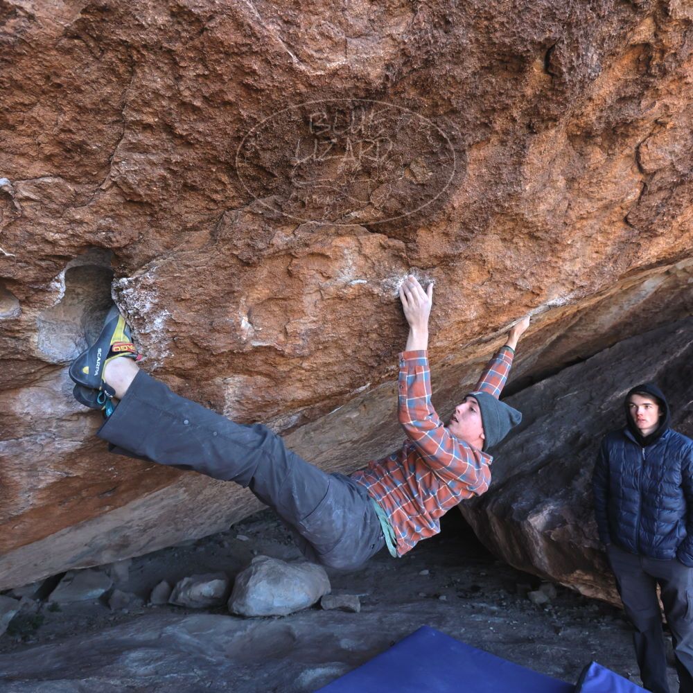 

Filename: SRM_20221217_1138220.jpg
Aperture: f/5.6
Shutter Speed: 1/400
Body: Canon EOS R6
Lens: Canon EF 16-35mm f/2.8 L