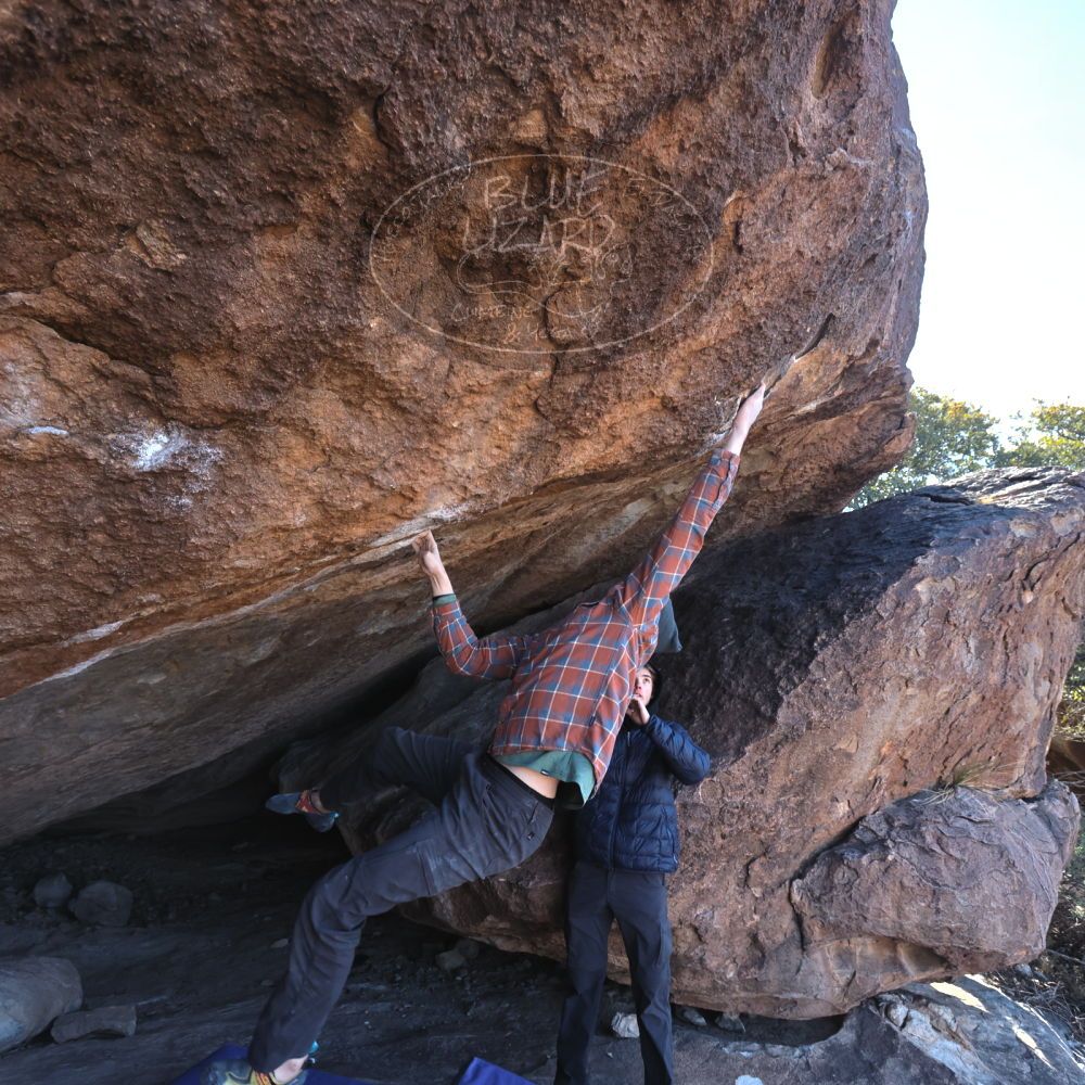 

Filename: SRM_20221217_1138360.jpg
Aperture: f/5.6
Shutter Speed: 1/400
Body: Canon EOS R6
Lens: Canon EF 16-35mm f/2.8 L