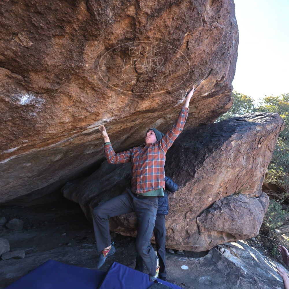 

Filename: SRM_20221217_1138362.jpg
Aperture: f/5.6
Shutter Speed: 1/400
Body: Canon EOS R6
Lens: Canon EF 16-35mm f/2.8 L