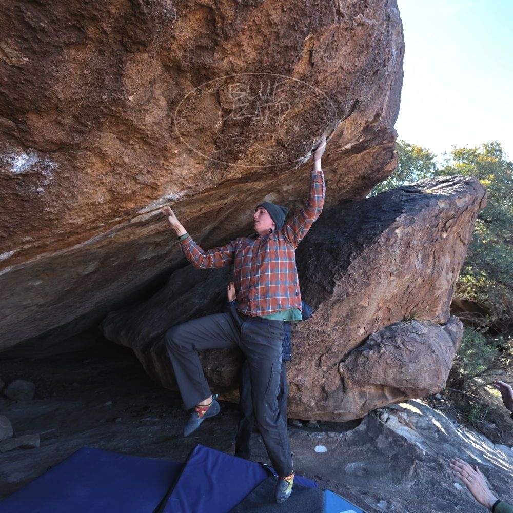 

Filename: SRM_20221217_1138372.jpg
Aperture: f/5.6
Shutter Speed: 1/400
Body: Canon EOS R6
Lens: Canon EF 16-35mm f/2.8 L