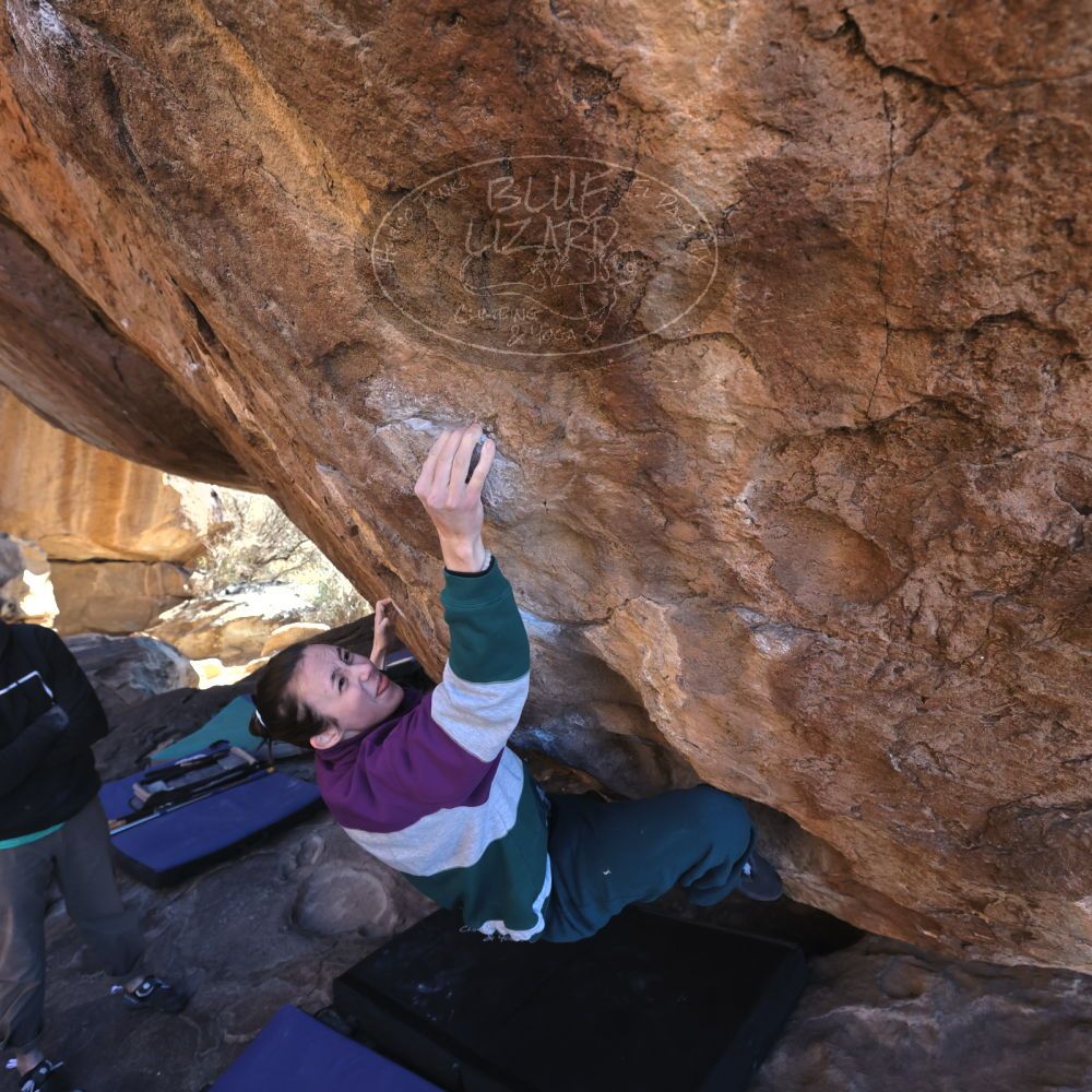 

Filename: SRM_20221217_1254481.jpg
Aperture: f/5.6
Shutter Speed: 1/400
Body: Canon EOS R6
Lens: Canon EF 16-35mm f/2.8 L