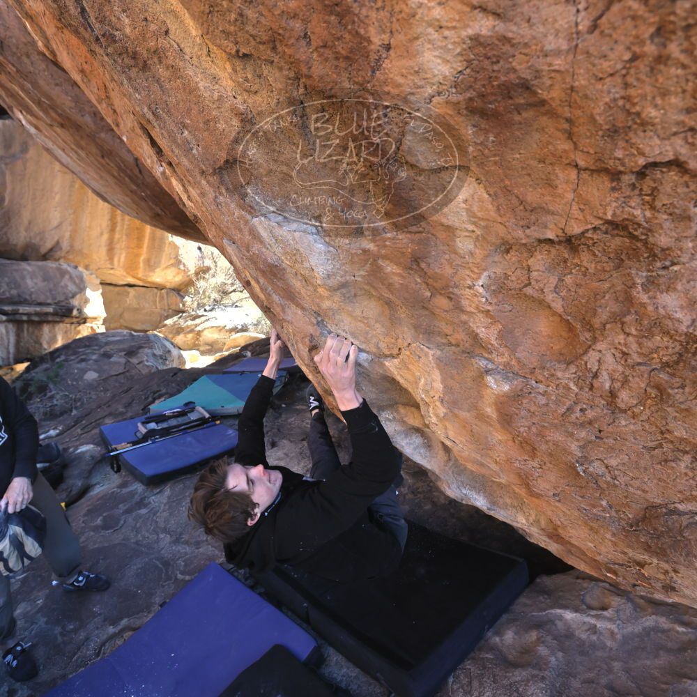 

Filename: SRM_20221217_1256111.jpg
Aperture: f/5.6
Shutter Speed: 1/400
Body: Canon EOS R6
Lens: Canon EF 16-35mm f/2.8 L