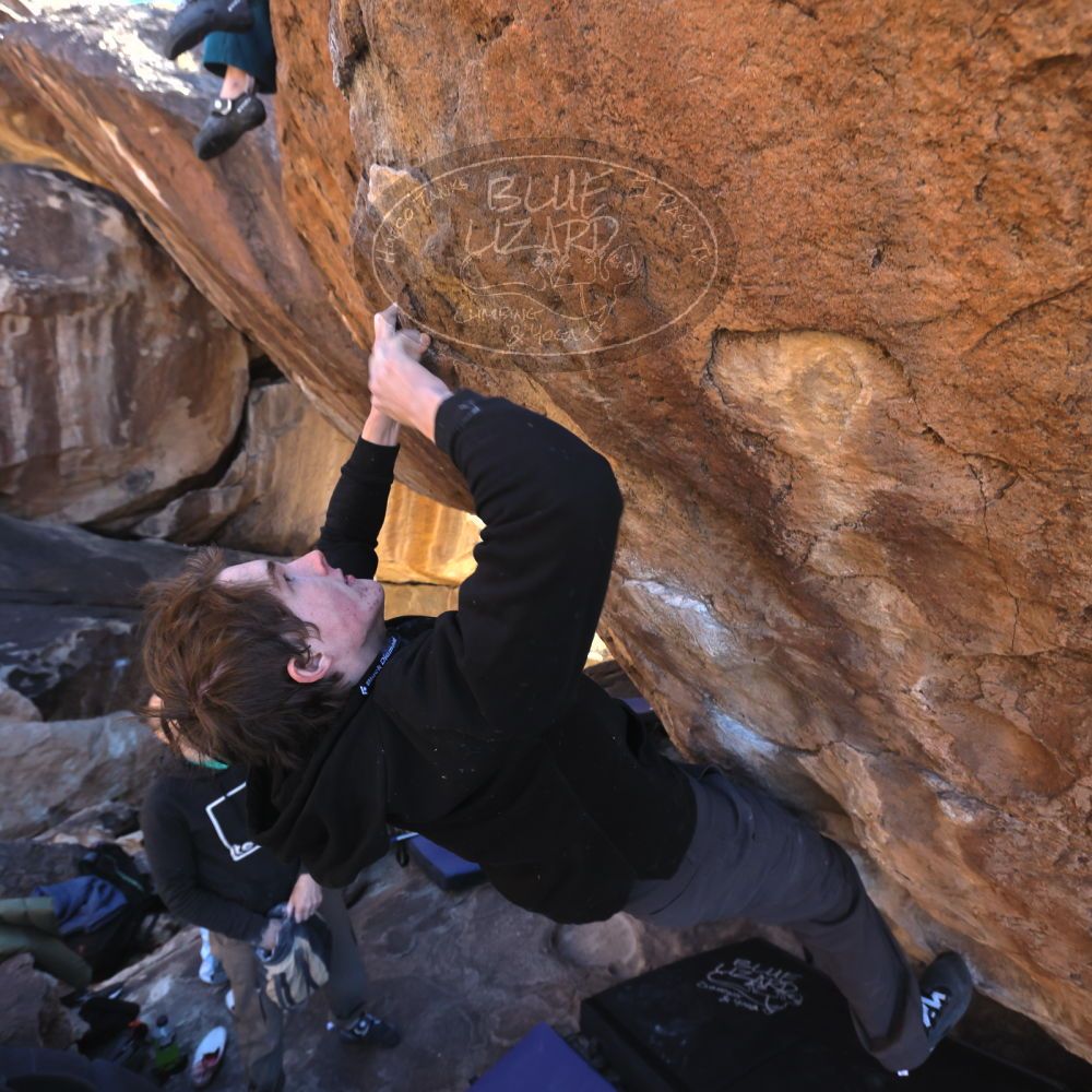 

Filename: SRM_20221217_1256230.jpg
Aperture: f/5.6
Shutter Speed: 1/400
Body: Canon EOS R6
Lens: Canon EF 16-35mm f/2.8 L