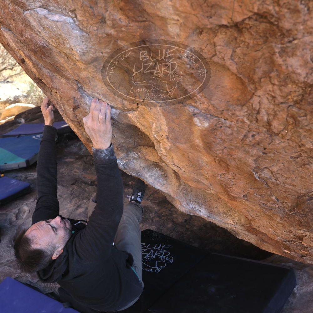 

Filename: SRM_20221217_1258481.jpg
Aperture: f/5.6
Shutter Speed: 1/400
Body: Canon EOS R6
Lens: Canon EF 16-35mm f/2.8 L