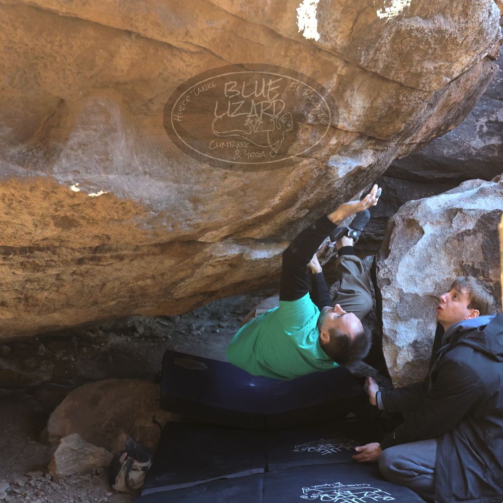 

Filename: SRM_20221217_1340390.jpg
Aperture: f/5.6
Shutter Speed: 1/400
Body: Canon EOS R6
Lens: Canon EF 16-35mm f/2.8 L