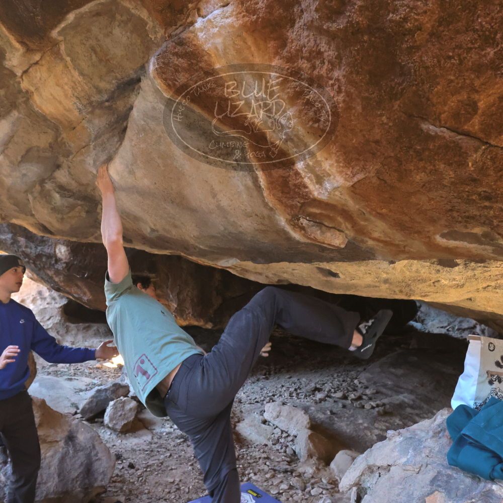 

Filename: SRM_20221217_1341210.jpg
Aperture: f/5.6
Shutter Speed: 1/400
Body: Canon EOS R6
Lens: Canon EF 16-35mm f/2.8 L