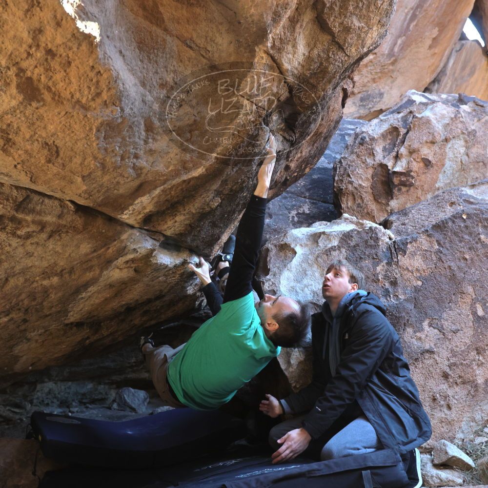 

Filename: SRM_20221217_1342081.jpg
Aperture: f/5.6
Shutter Speed: 1/400
Body: Canon EOS R6
Lens: Canon EF 16-35mm f/2.8 L