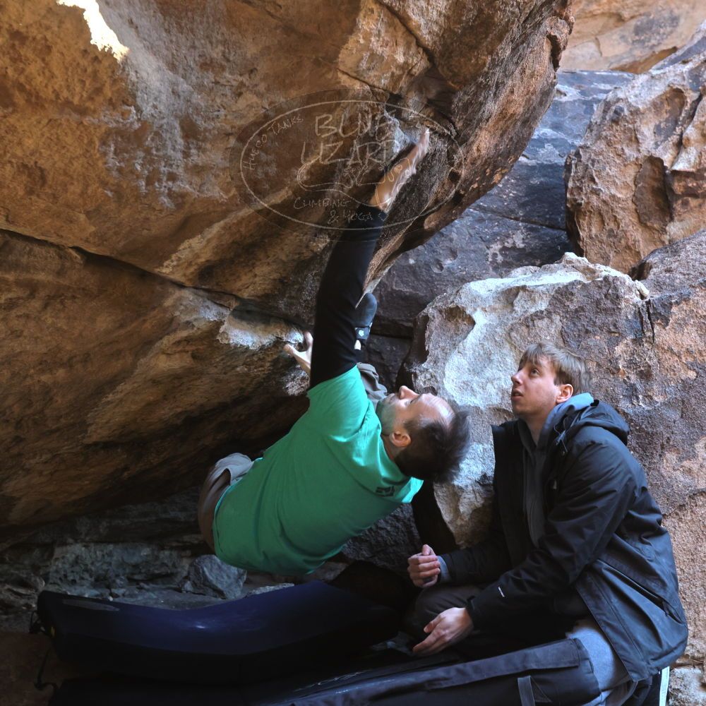 

Filename: SRM_20221217_1344420.jpg
Aperture: f/5.6
Shutter Speed: 1/400
Body: Canon EOS R6
Lens: Canon EF 16-35mm f/2.8 L