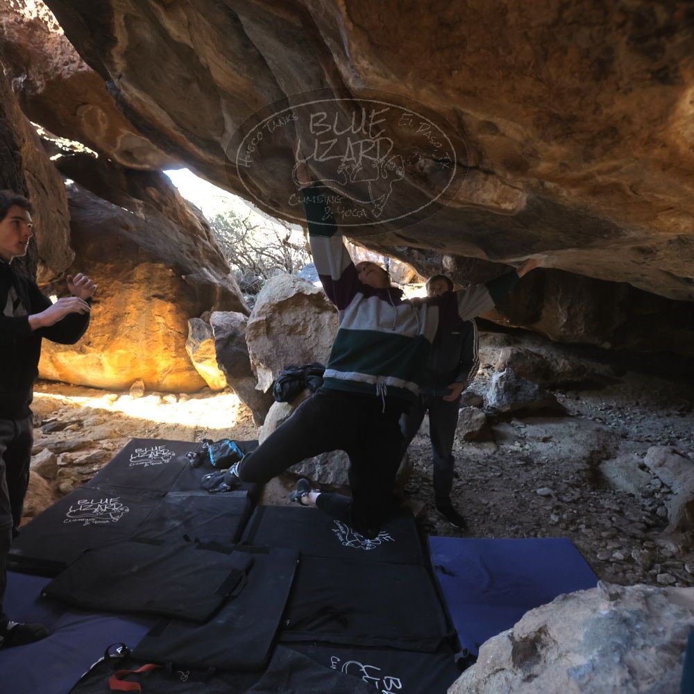 

Filename: SRM_20221217_1421432.jpg
Aperture: f/5.6
Shutter Speed: 1/400
Body: Canon EOS R6
Lens: Canon EF 16-35mm f/2.8 L