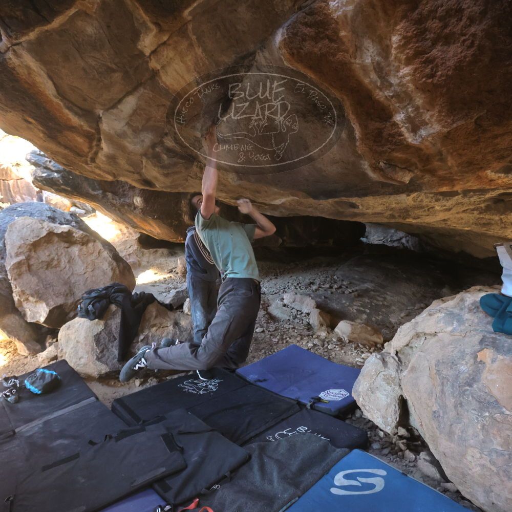 

Filename: SRM_20221217_1423070.jpg
Aperture: f/5.6
Shutter Speed: 1/400
Body: Canon EOS R6
Lens: Canon EF 16-35mm f/2.8 L