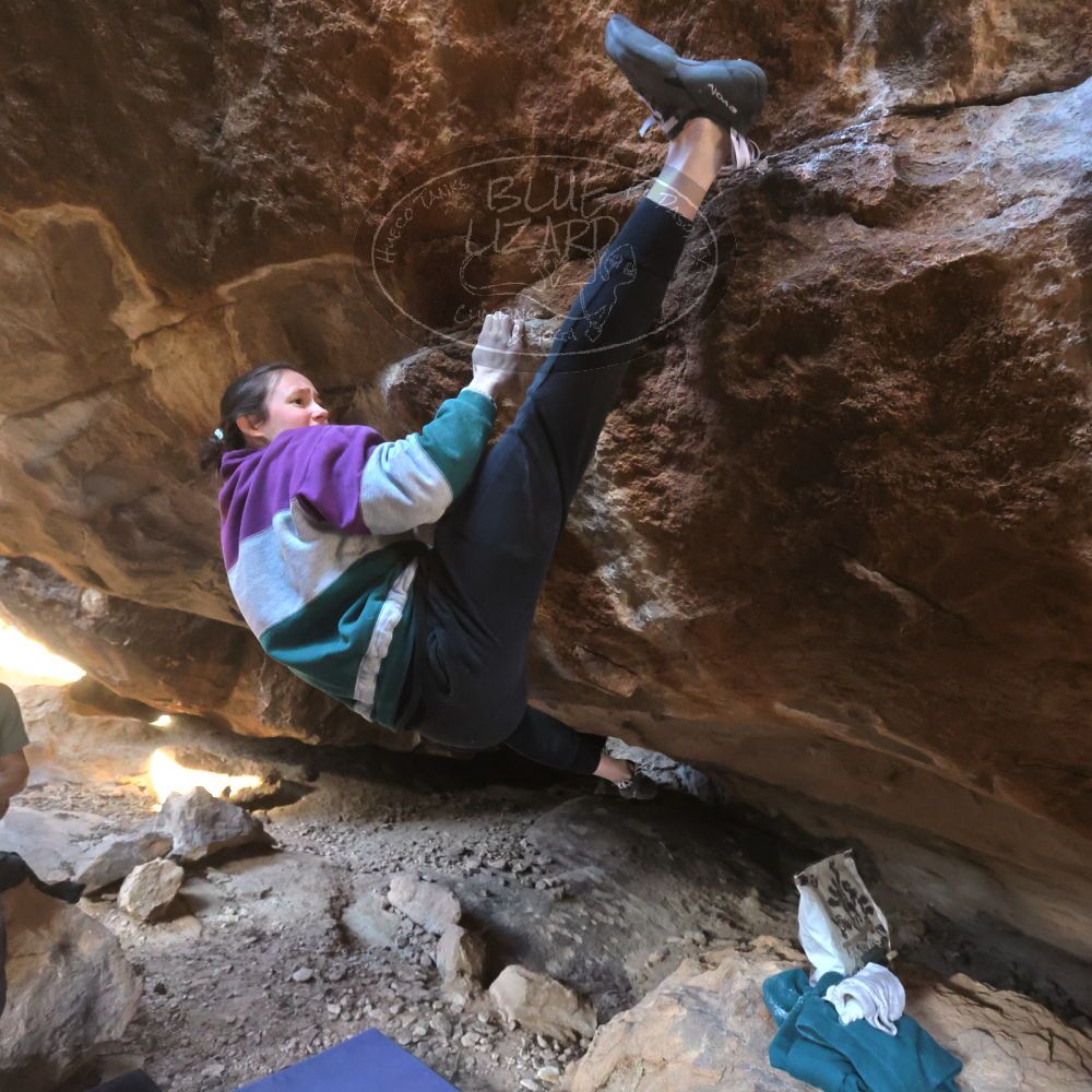 

Filename: SRM_20221217_1447570.jpg
Aperture: f/5.6
Shutter Speed: 1/400
Body: Canon EOS R6
Lens: Canon EF 16-35mm f/2.8 L