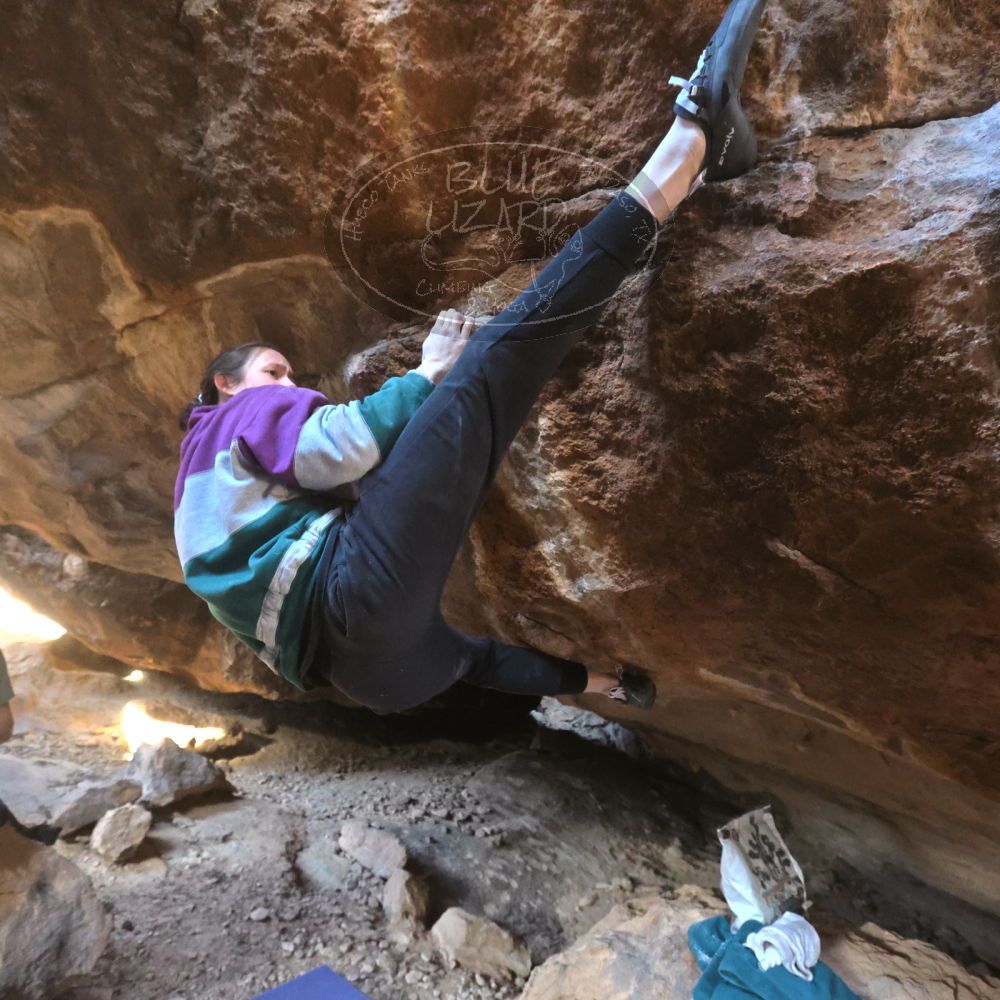 

Filename: SRM_20221217_1447572.jpg
Aperture: f/5.6
Shutter Speed: 1/400
Body: Canon EOS R6
Lens: Canon EF 16-35mm f/2.8 L