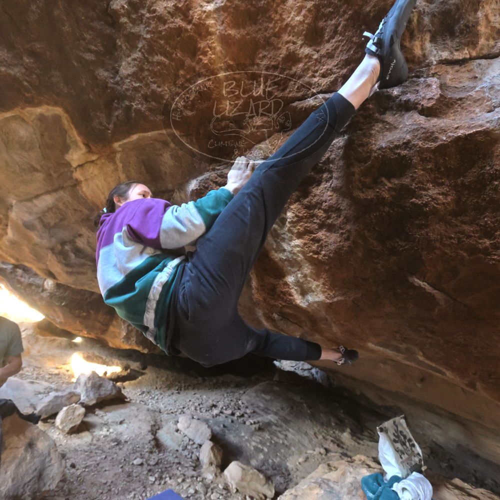 

Filename: SRM_20221217_1447580.jpg
Aperture: f/5.6
Shutter Speed: 1/400
Body: Canon EOS R6
Lens: Canon EF 16-35mm f/2.8 L