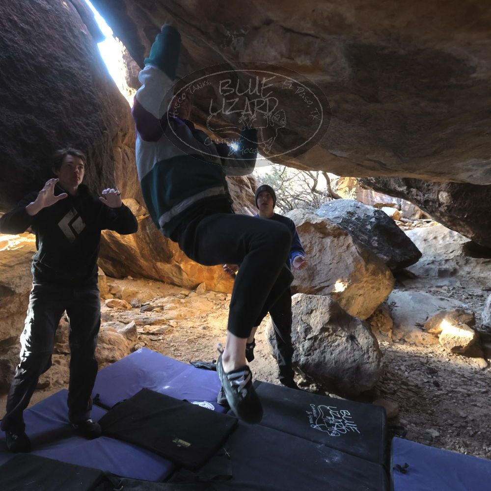 

Filename: SRM_20221217_1532401.jpg
Aperture: f/5.6
Shutter Speed: 1/400
Body: Canon EOS R6
Lens: Canon EF 16-35mm f/2.8 L