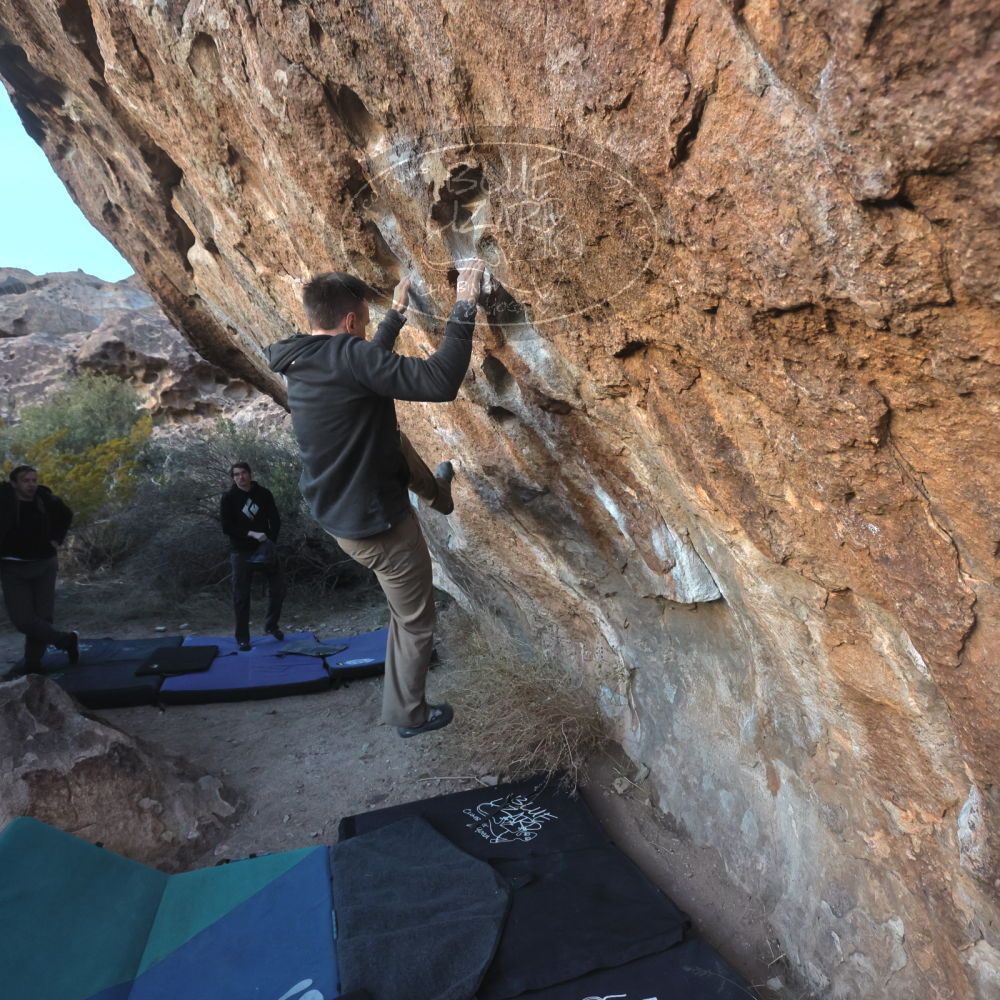 

Filename: SRM_20221217_1657010.jpg
Aperture: f/5.6
Shutter Speed: 1/400
Body: Canon EOS R6
Lens: Canon EF 16-35mm f/2.8 L