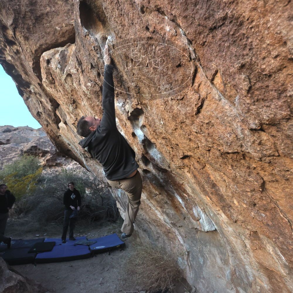 

Filename: SRM_20221217_1657060.jpg
Aperture: f/5.6
Shutter Speed: 1/400
Body: Canon EOS R6
Lens: Canon EF 16-35mm f/2.8 L