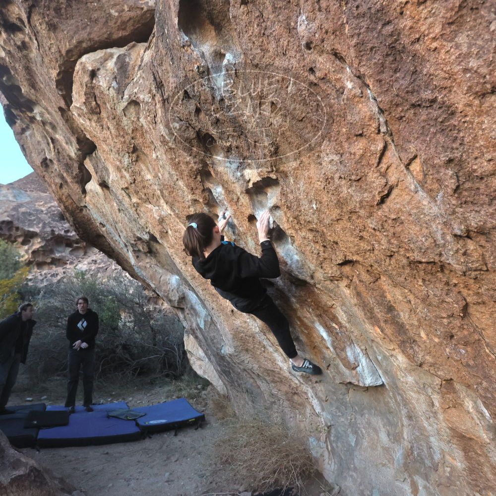 

Filename: SRM_20221217_1701190.jpg
Aperture: f/5.6
Shutter Speed: 1/400
Body: Canon EOS R6
Lens: Canon EF 16-35mm f/2.8 L