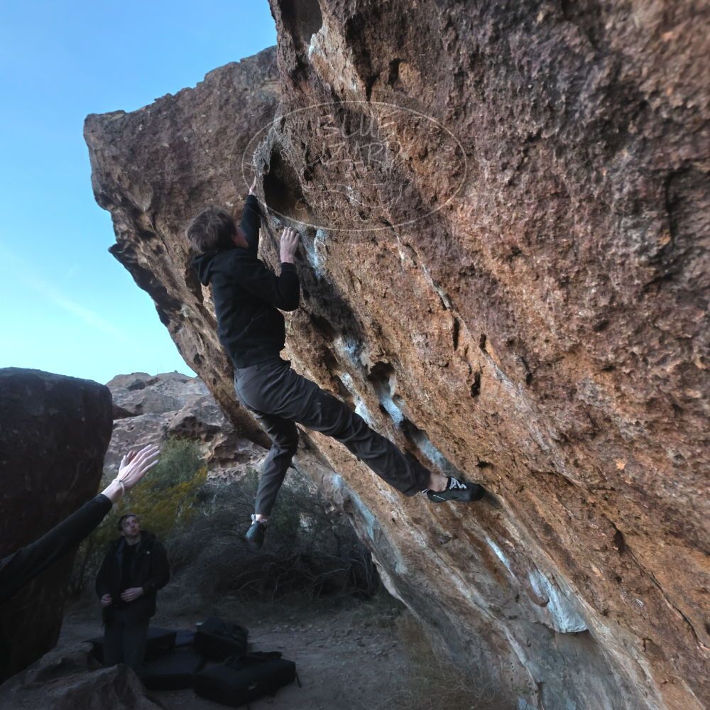 

Filename: SRM_20221217_1706390.jpg
Aperture: f/5.6
Shutter Speed: 1/400
Body: Canon EOS R6
Lens: Canon EF 16-35mm f/2.8 L