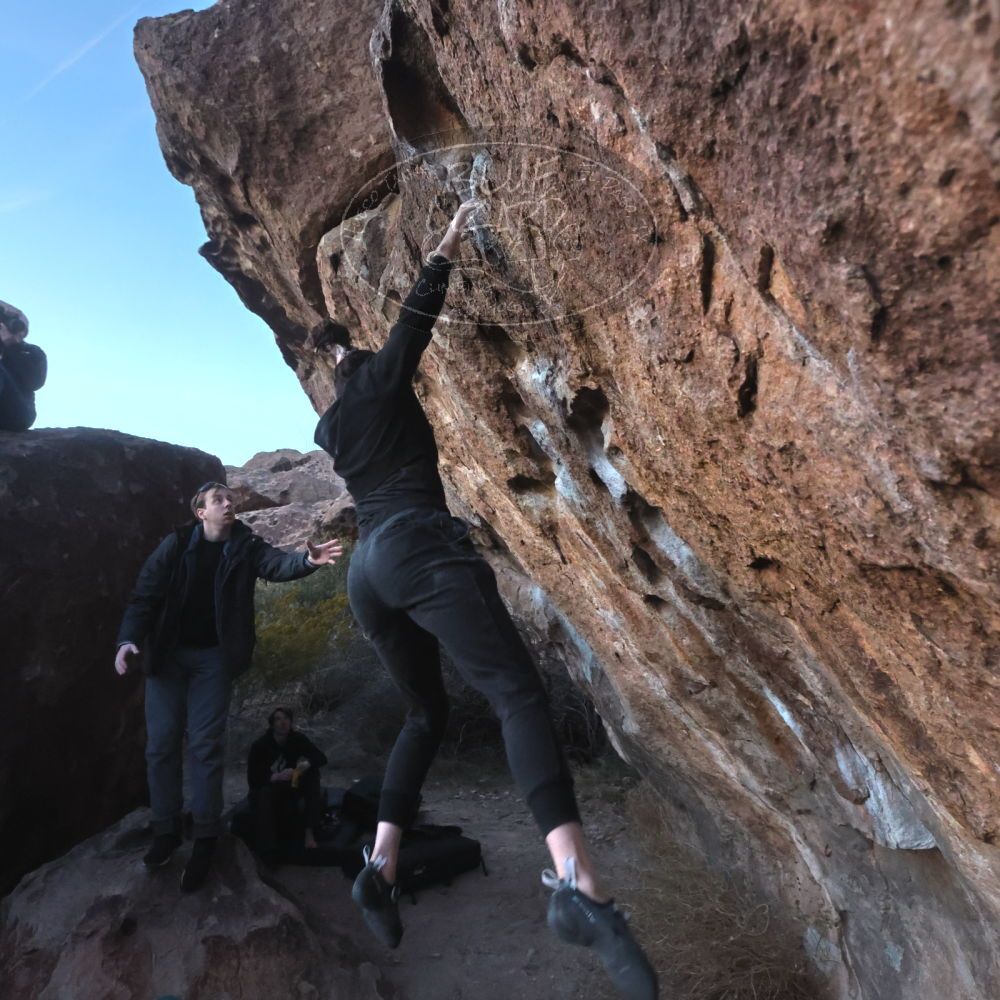 

Filename: SRM_20221217_1710030.jpg
Aperture: f/5.6
Shutter Speed: 1/400
Body: Canon EOS R6
Lens: Canon EF 16-35mm f/2.8 L