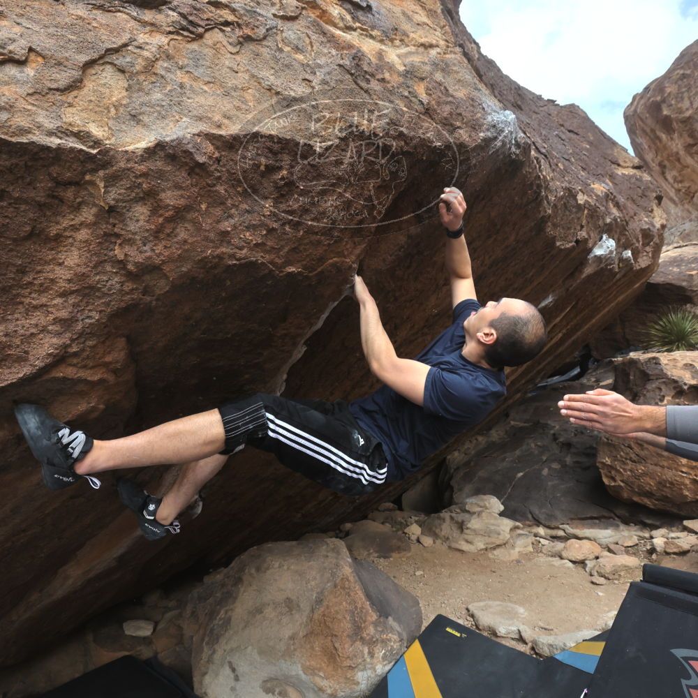 

Filename: SRM_20221218_1058150.jpg
Aperture: f/8.0
Shutter Speed: 1/1000
Body: Canon EOS R6
Lens: Canon EF 16-35mm f/2.8 L