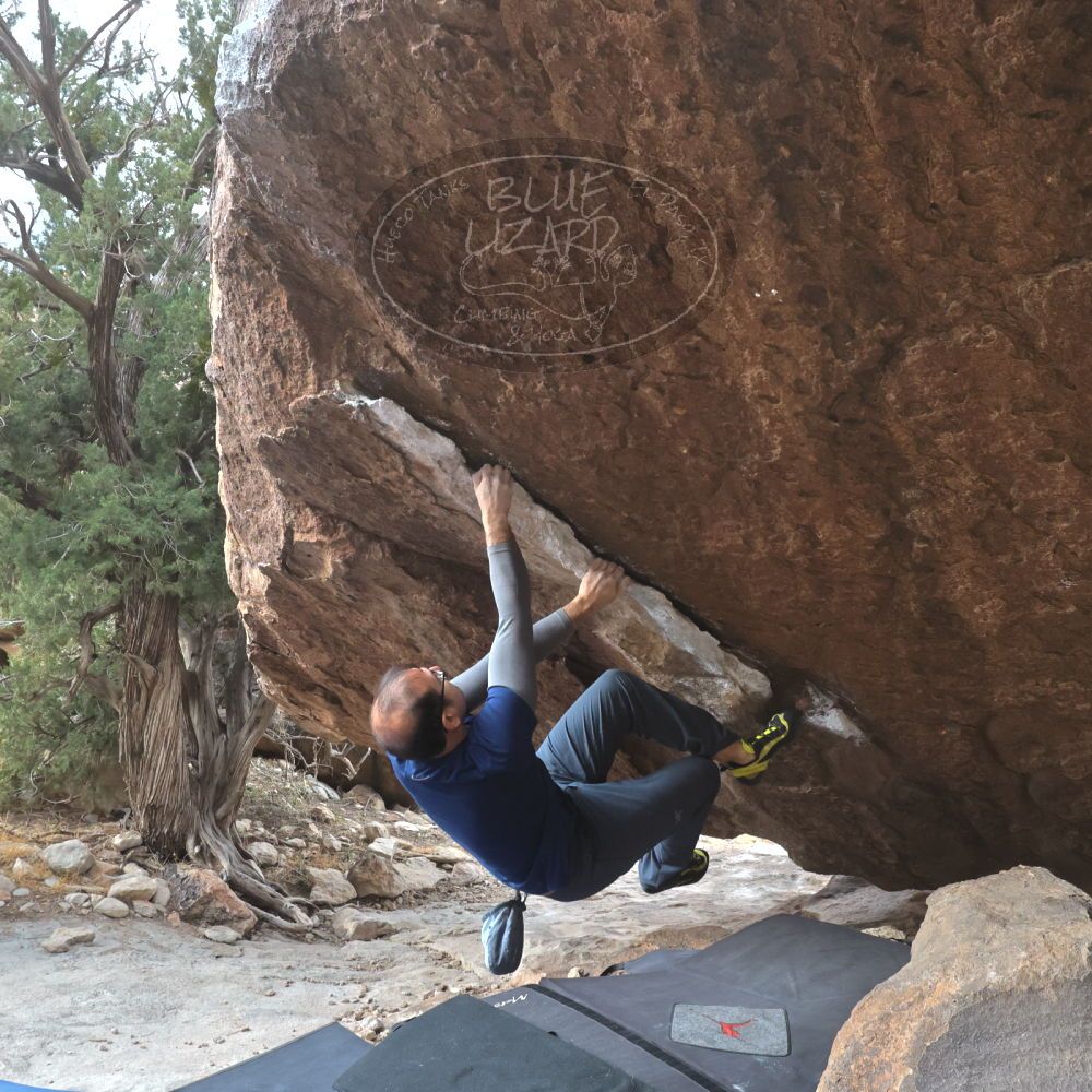 

Filename: SRM_20221218_1105580.jpg
Aperture: f/8.0
Shutter Speed: 1/1000
Body: Canon EOS R6
Lens: Canon EF 16-35mm f/2.8 L