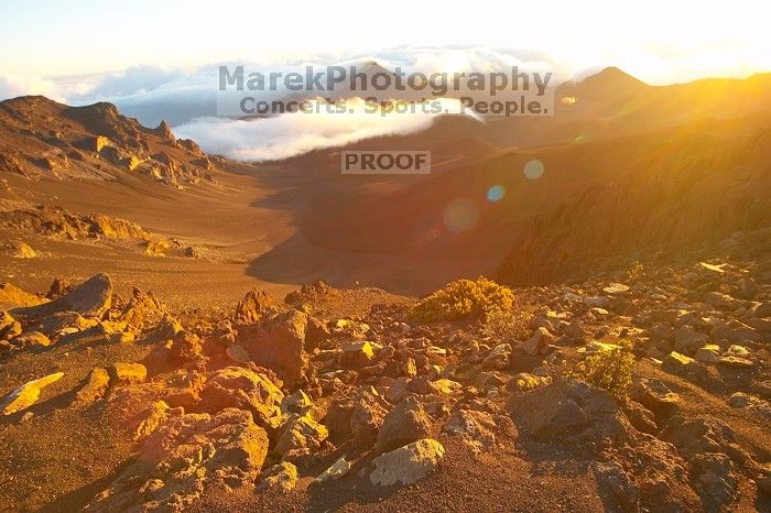 Trip to Maui, Hawai'i, 2007.

Filename: SRM_20071221_0705227.jpg
Aperture: f/8.0
Shutter Speed: 1/30
Body: Canon EOS-1D Mark II
Lens: Sigma 15-30mm f/3.5-4.5 EX Aspherical DG DF