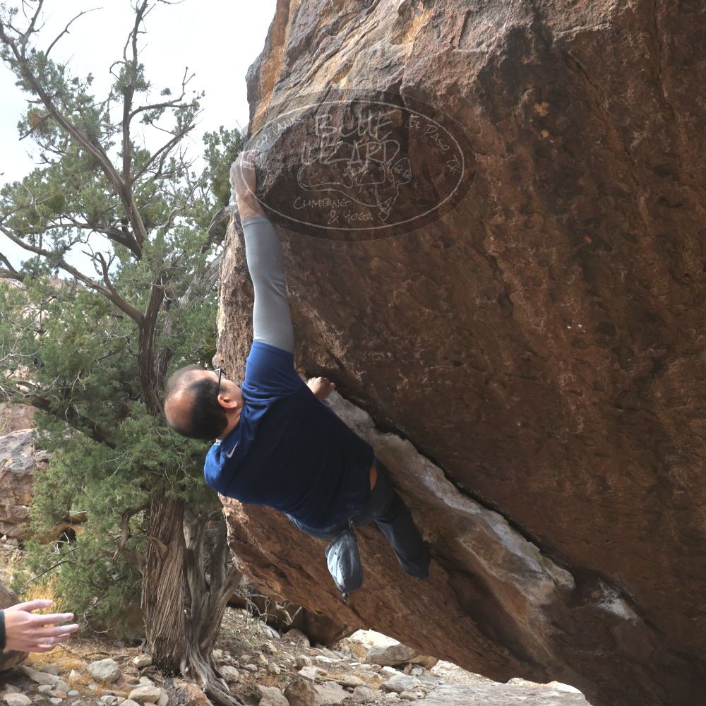 

Filename: SRM_20221218_1106021.jpg
Aperture: f/8.0
Shutter Speed: 1/1000
Body: Canon EOS R6
Lens: Canon EF 16-35mm f/2.8 L