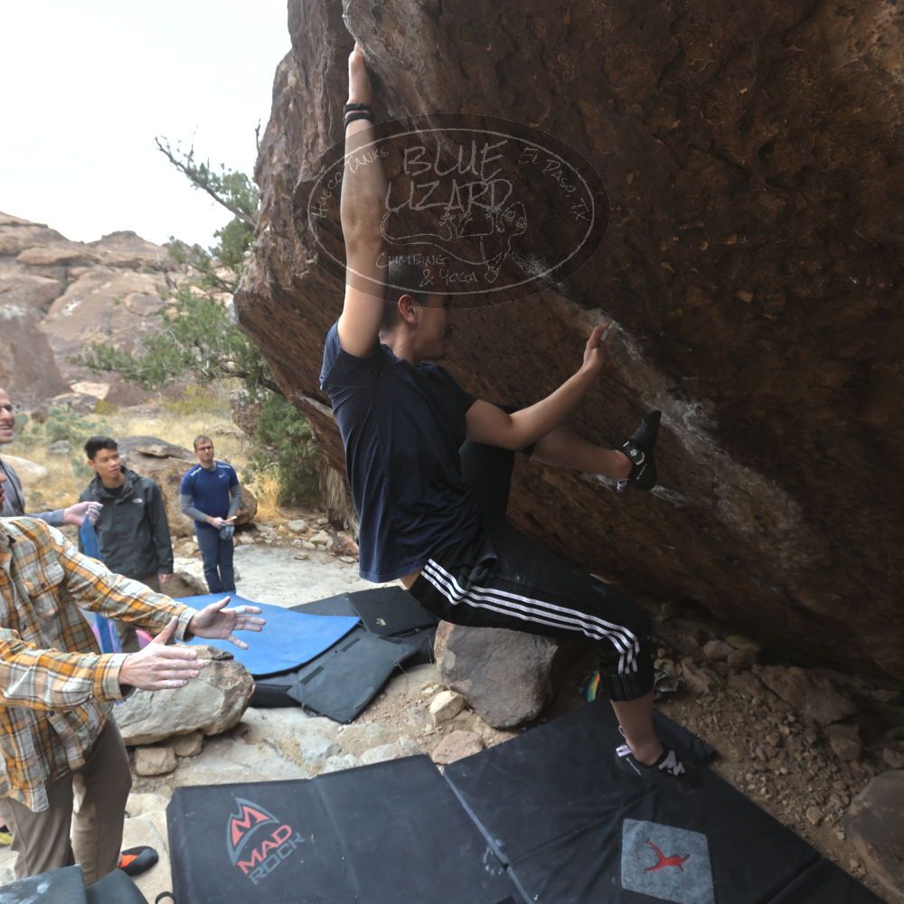 

Filename: SRM_20221218_1133053.jpg
Aperture: f/5.6
Shutter Speed: 1/640
Body: Canon EOS R6
Lens: Canon EF 16-35mm f/2.8 L