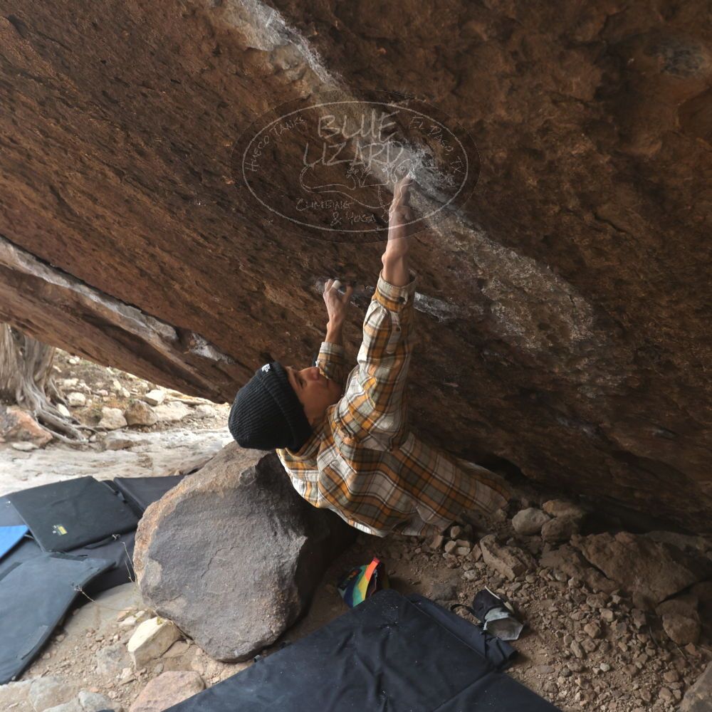 

Filename: SRM_20221218_1135142.jpg
Aperture: f/5.6
Shutter Speed: 1/640
Body: Canon EOS R6
Lens: Canon EF 16-35mm f/2.8 L