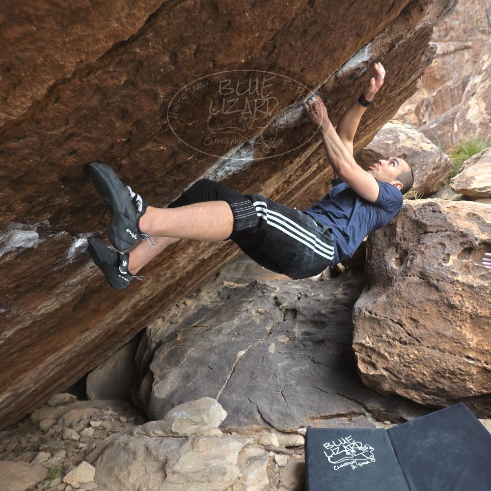 

Filename: SRM_20221218_1155180.jpg
Aperture: f/5.6
Shutter Speed: 1/640
Body: Canon EOS R6
Lens: Canon EF 16-35mm f/2.8 L