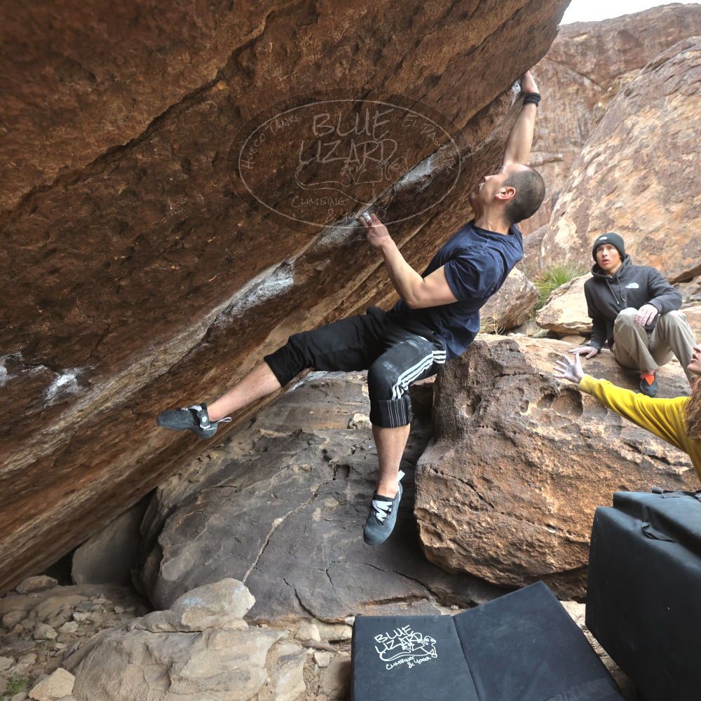 

Filename: SRM_20221218_1155210.jpg
Aperture: f/5.6
Shutter Speed: 1/640
Body: Canon EOS R6
Lens: Canon EF 16-35mm f/2.8 L