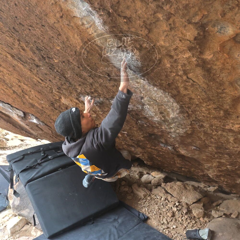 

Filename: SRM_20221218_1205520.jpg
Aperture: f/5.6
Shutter Speed: 1/640
Body: Canon EOS R6
Lens: Canon EF 16-35mm f/2.8 L