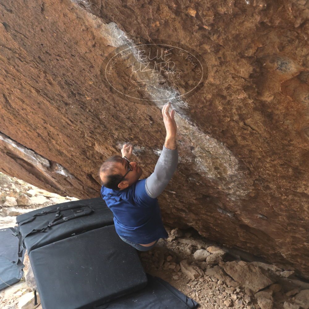 

Filename: SRM_20221218_1206350.jpg
Aperture: f/5.6
Shutter Speed: 1/640
Body: Canon EOS R6
Lens: Canon EF 16-35mm f/2.8 L