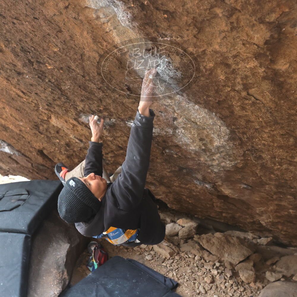 

Filename: SRM_20221218_1209261.jpg
Aperture: f/5.6
Shutter Speed: 1/640
Body: Canon EOS R6
Lens: Canon EF 16-35mm f/2.8 L