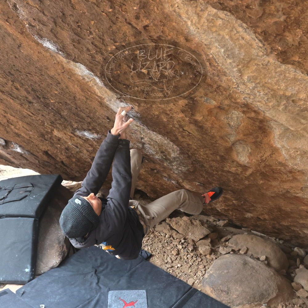 

Filename: SRM_20221218_1214040.jpg
Aperture: f/5.6
Shutter Speed: 1/640
Body: Canon EOS R6
Lens: Canon EF 16-35mm f/2.8 L