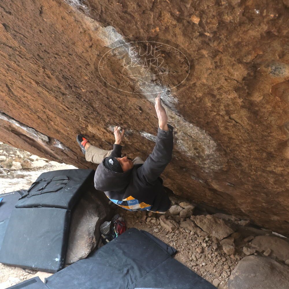 

Filename: SRM_20221218_1218021.jpg
Aperture: f/5.6
Shutter Speed: 1/640
Body: Canon EOS R6
Lens: Canon EF 16-35mm f/2.8 L