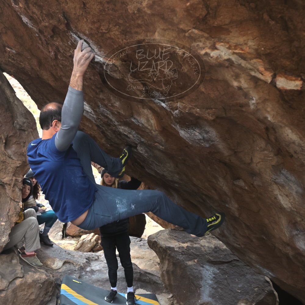 

Filename: SRM_20221218_1242240.jpg
Aperture: f/5.6
Shutter Speed: 1/640
Body: Canon EOS R6
Lens: Canon EF 16-35mm f/2.8 L