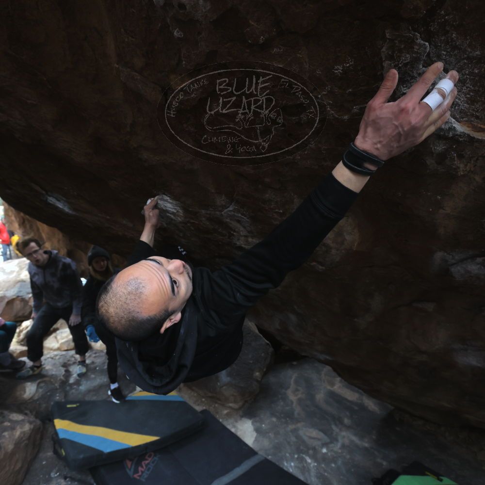 

Filename: SRM_20221218_1250140.jpg
Aperture: f/5.6
Shutter Speed: 1/640
Body: Canon EOS R6
Lens: Canon EF 16-35mm f/2.8 L