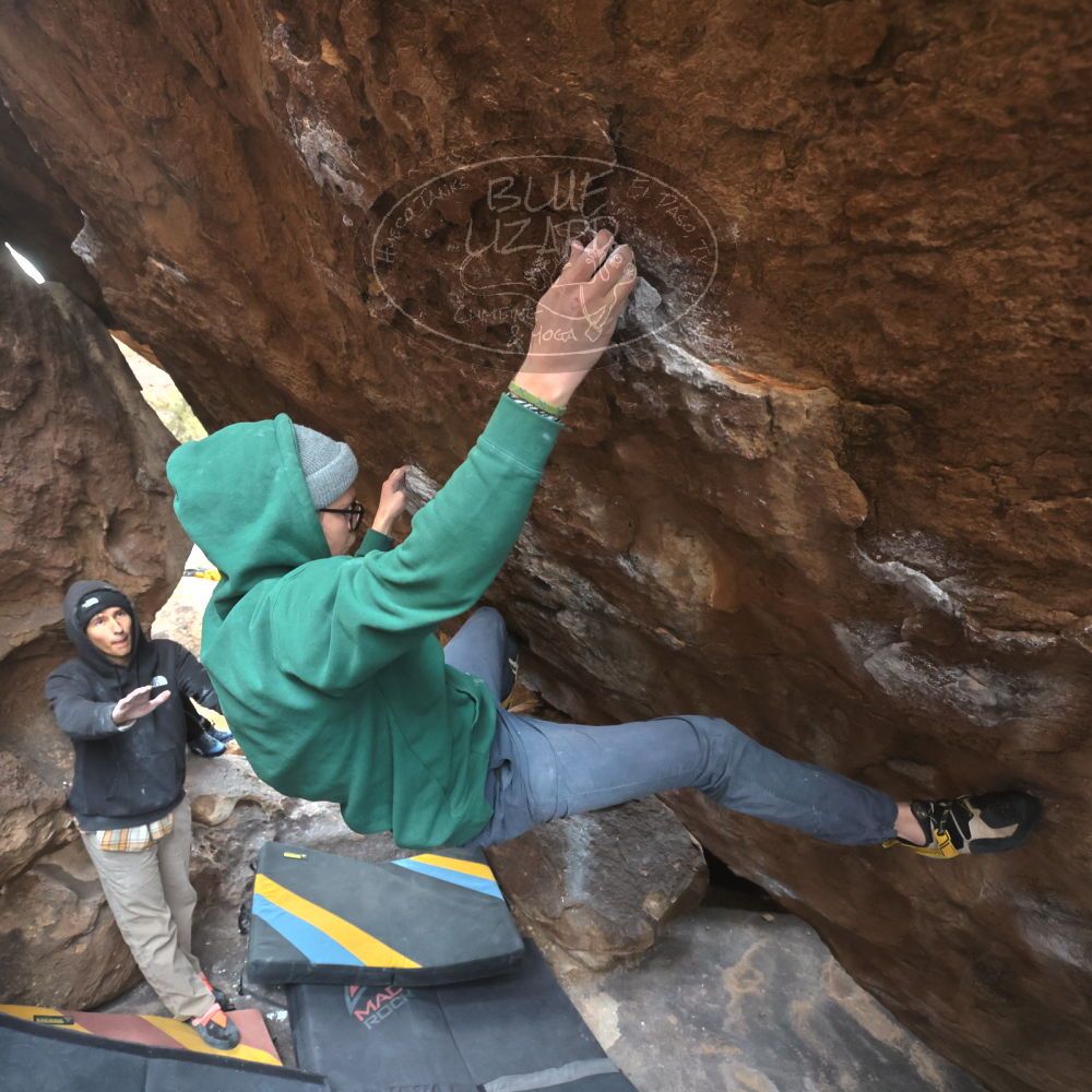 

Filename: SRM_20221218_1258010.jpg
Aperture: f/5.6
Shutter Speed: 1/640
Body: Canon EOS R6
Lens: Canon EF 16-35mm f/2.8 L