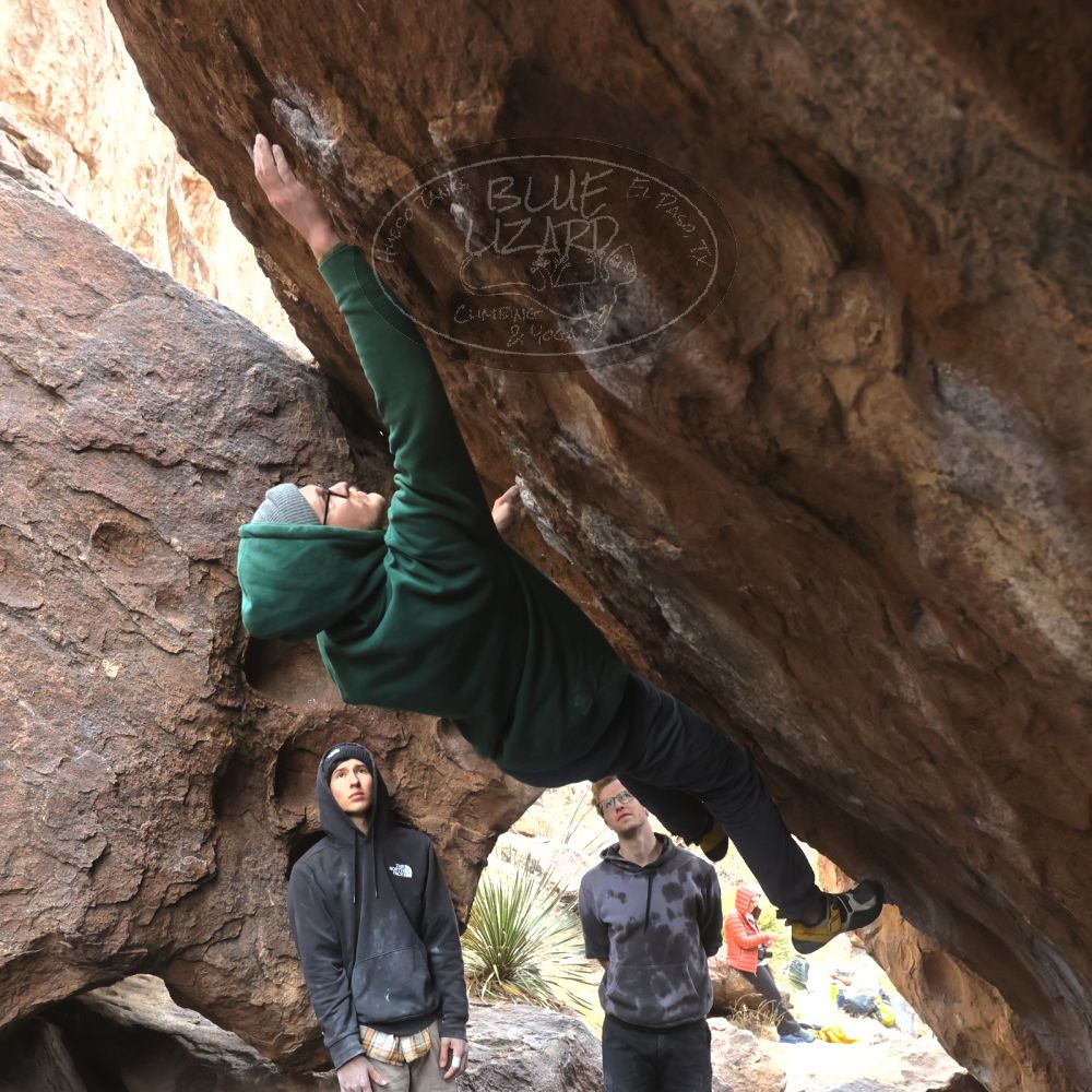 

Filename: SRM_20221218_1301590.jpg
Aperture: f/5.6
Shutter Speed: 1/640
Body: Canon EOS R6
Lens: Canon EF 16-35mm f/2.8 L