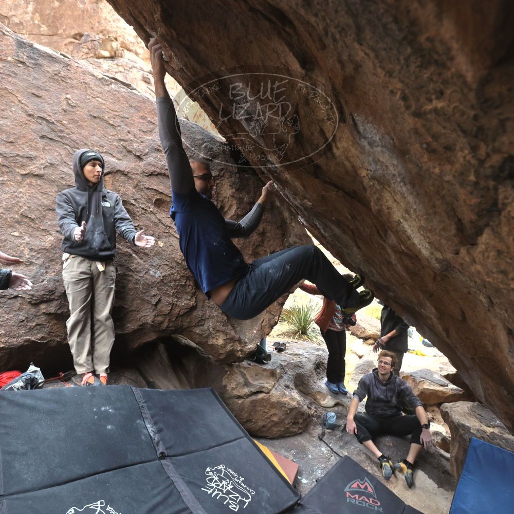 

Filename: SRM_20221218_1306200.jpg
Aperture: f/5.6
Shutter Speed: 1/640
Body: Canon EOS R6
Lens: Canon EF 16-35mm f/2.8 L