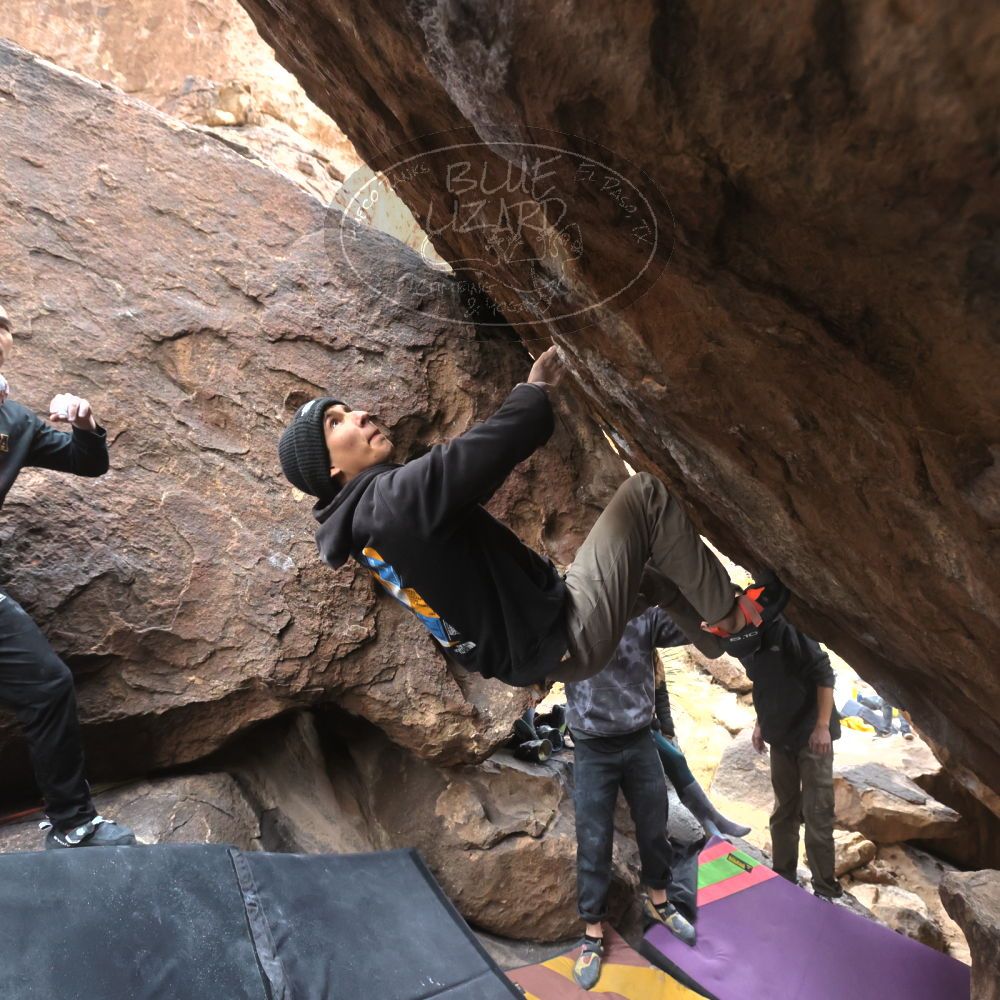 

Filename: SRM_20221218_1319050.jpg
Aperture: f/5.6
Shutter Speed: 1/640
Body: Canon EOS R6
Lens: Canon EF 16-35mm f/2.8 L