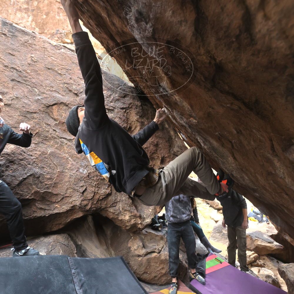 

Filename: SRM_20221218_1319051.jpg
Aperture: f/5.6
Shutter Speed: 1/640
Body: Canon EOS R6
Lens: Canon EF 16-35mm f/2.8 L