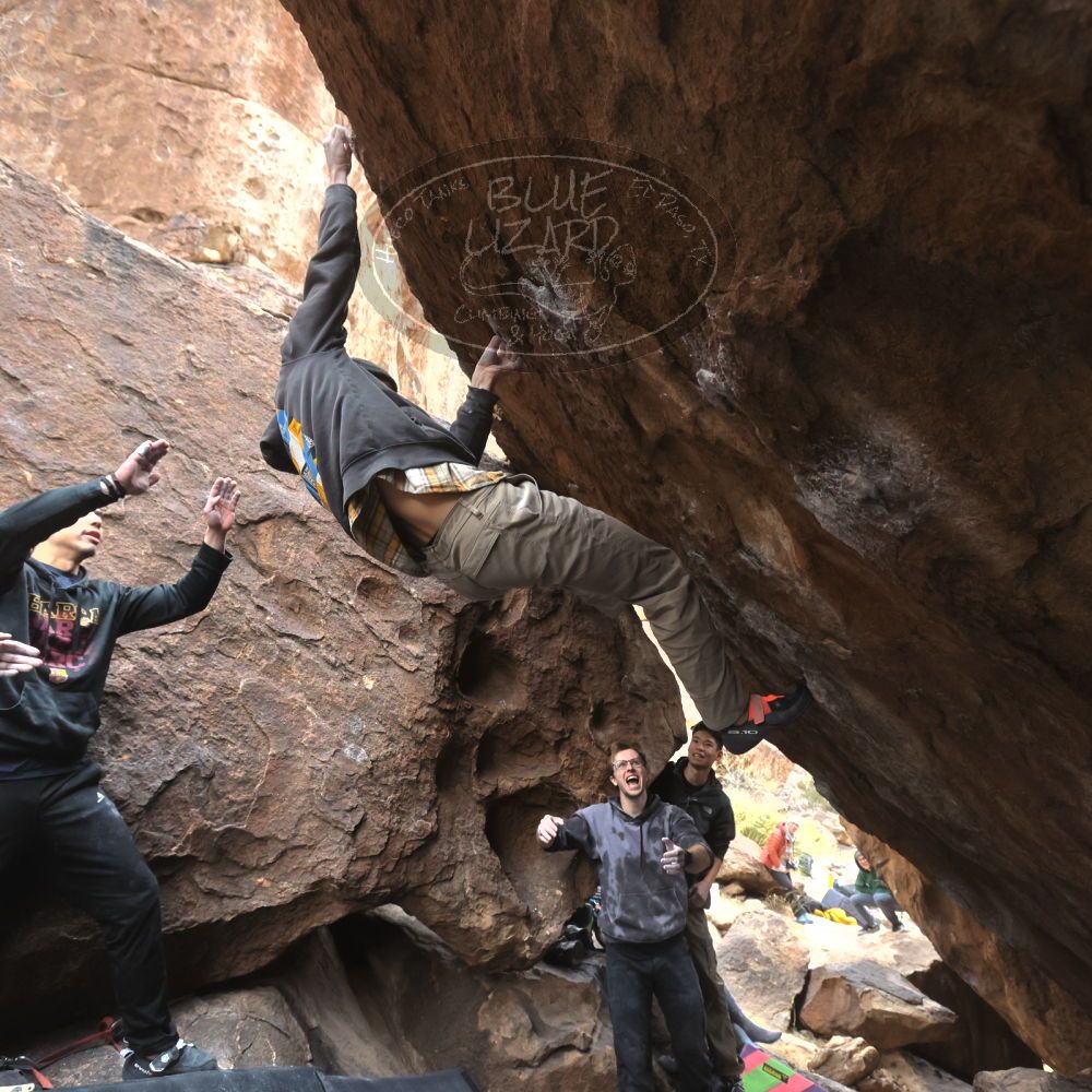 

Filename: SRM_20221218_1319160.jpg
Aperture: f/5.6
Shutter Speed: 1/640
Body: Canon EOS R6
Lens: Canon EF 16-35mm f/2.8 L