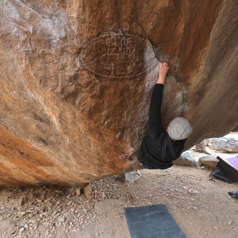 

Filename: SRM_20221218_1405060.jpg
Aperture: f/5.6
Shutter Speed: 1/400
Body: Canon EOS R6
Lens: Canon EF 16-35mm f/2.8 L