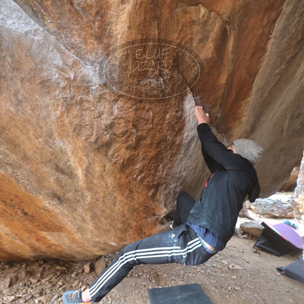 

Filename: SRM_20221218_1410040.jpg
Aperture: f/5.6
Shutter Speed: 1/400
Body: Canon EOS R6
Lens: Canon EF 16-35mm f/2.8 L