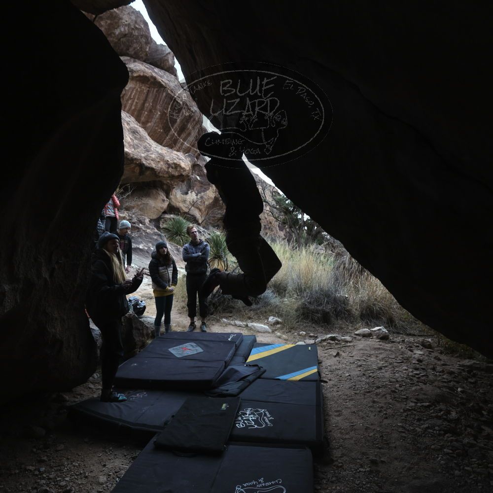 

Filename: SRM_20221218_1420260.jpg
Aperture: f/5.6
Shutter Speed: 1/400
Body: Canon EOS R6
Lens: Canon EF 16-35mm f/2.8 L