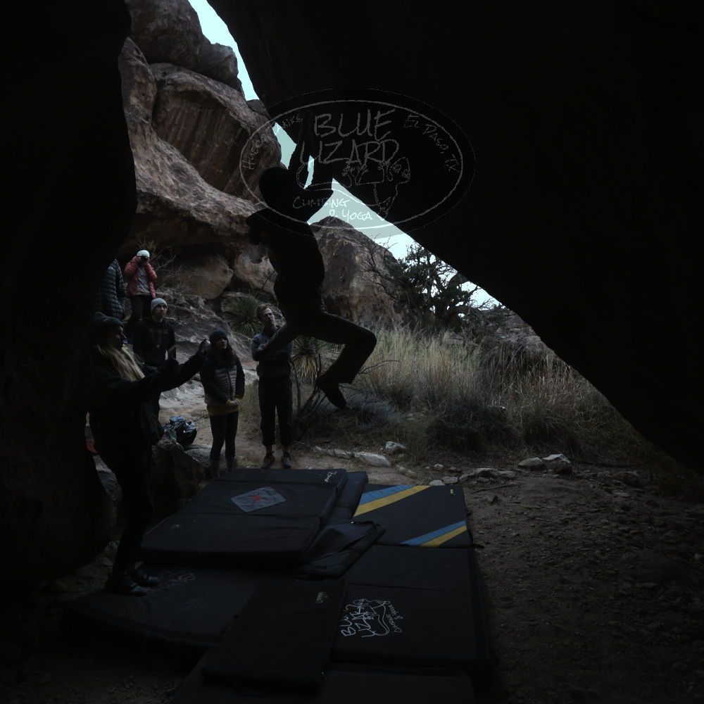 

Filename: SRM_20221218_1420262.jpg
Aperture: f/5.6
Shutter Speed: 1/400
Body: Canon EOS R6
Lens: Canon EF 16-35mm f/2.8 L