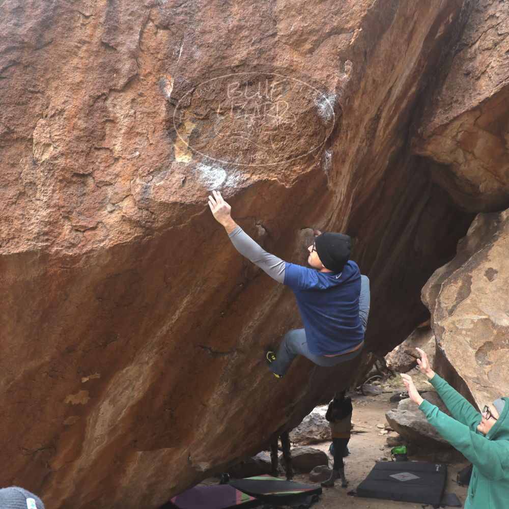 

Filename: SRM_20221218_1427120.jpg
Aperture: f/5.6
Shutter Speed: 1/400
Body: Canon EOS R6
Lens: Canon EF 16-35mm f/2.8 L